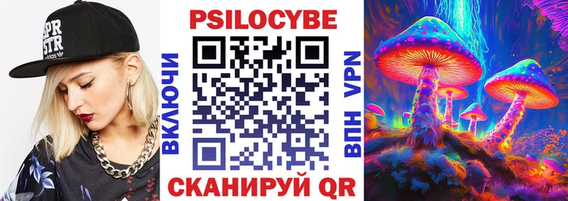 МЕГА ONION наркотики Северская Галлюциногенные грибы Cubensis